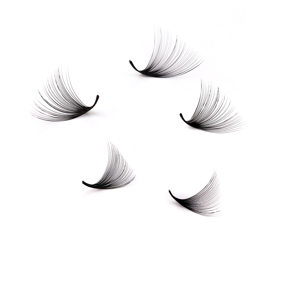 Lashprofessor XL Tray 3D 4D 5D - Eyelash Extension Russian Volume 评论和价格