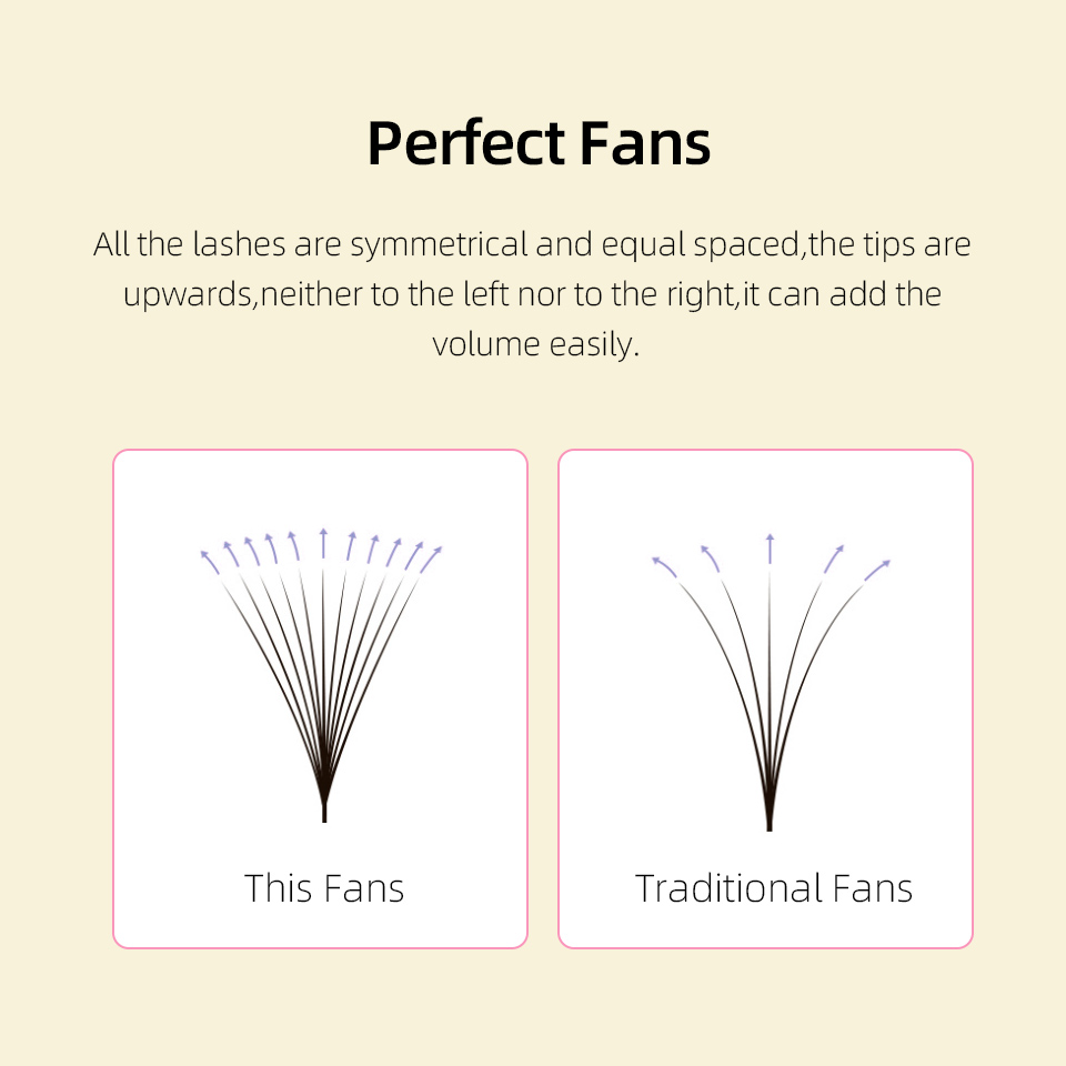 Lashprofessor XL Tray 3D 4D 5D - Eyelash Extension Russian Volume 评论和价格