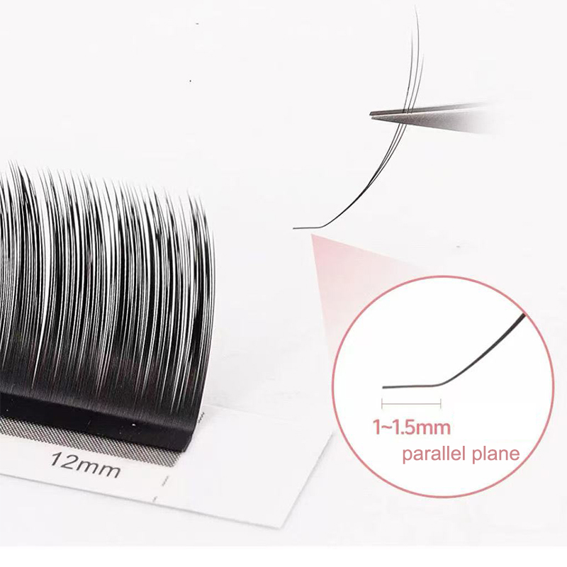dream ballet Camellia Lashes w - Eyelash Extension Russian Volume 评论和价格