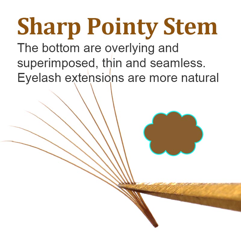 320 Colored Pointy Base Brown  - Eyelash Extension Russian Volume 评论和价格