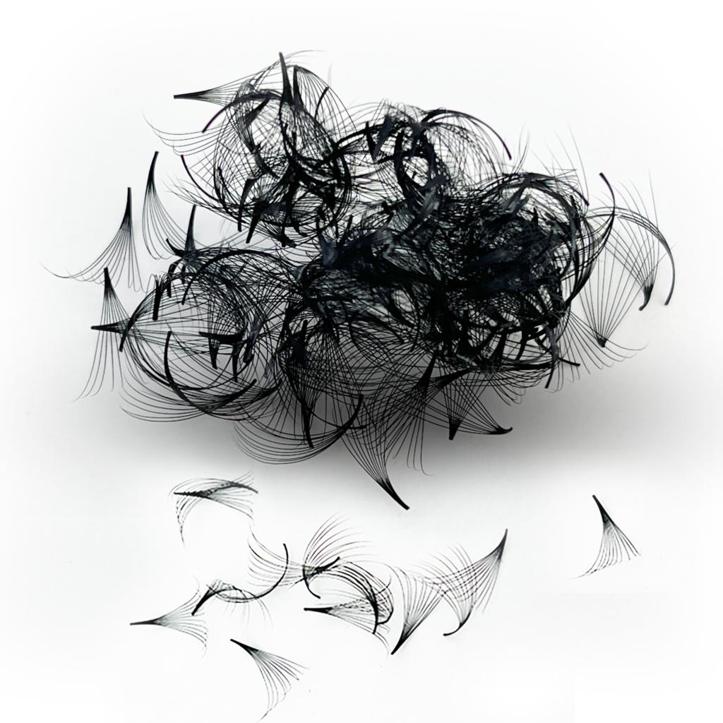Tbestt Premade Fans Lashes 10D - Eyelash Extension Russian Volume 评论和价格